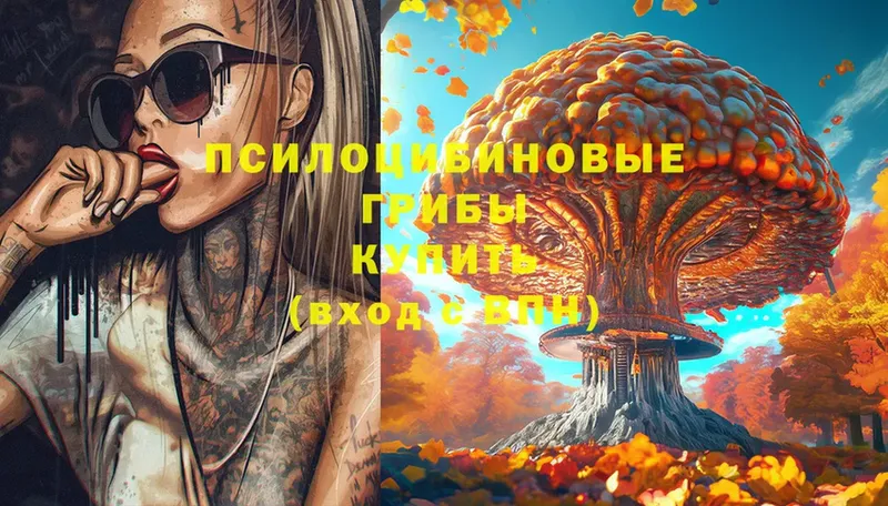 kraken онион  купить наркотики сайты  Златоуст  Псилоцибиновые грибы Magic Shrooms 